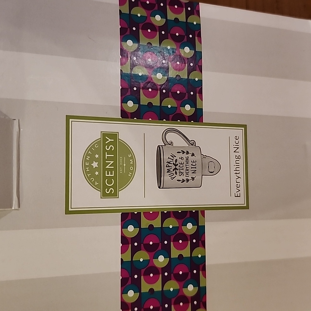 Scentsy Wall Plug In Warmer - Picture 3 of 3